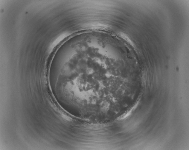 X0000062141071200512091209