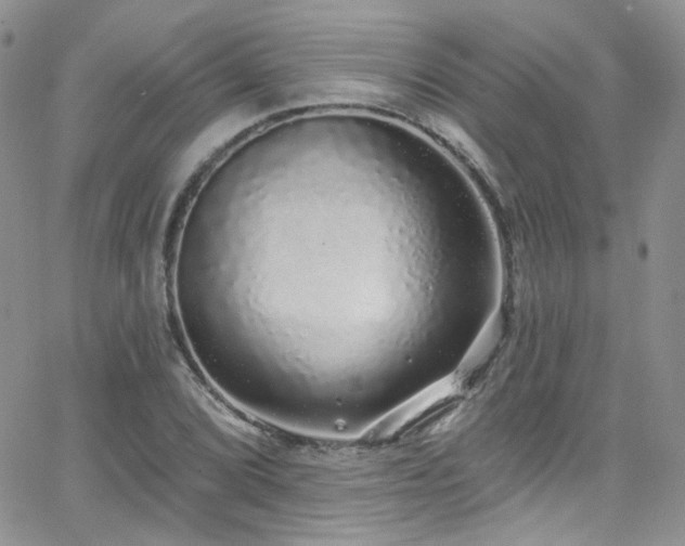 X0000062141072200512091209