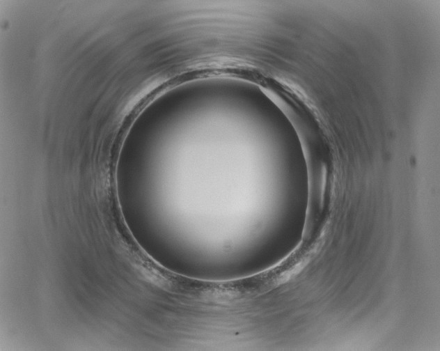 X0000062141073200512091209