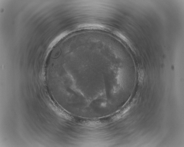 X0000062141074200512091209