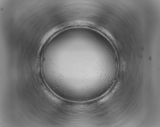 X0000062141075200512091209