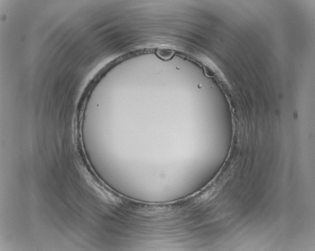 X0000062141076200512091209