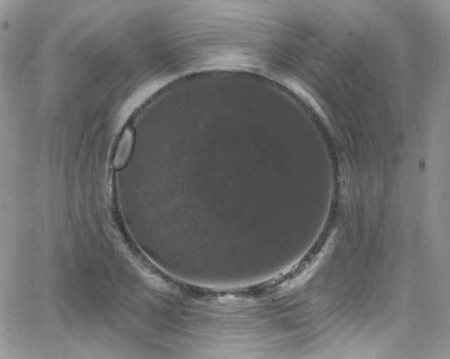 X0000062141077200512091209