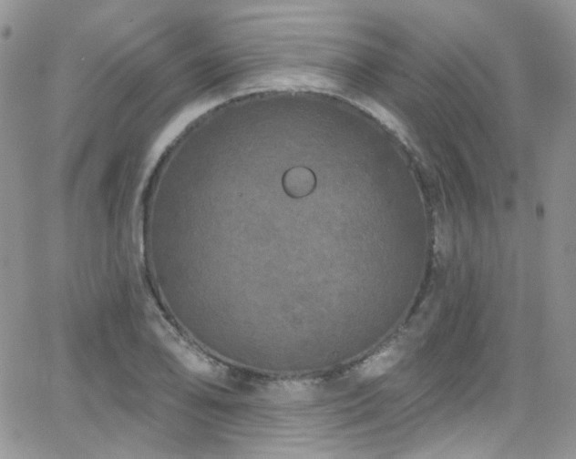 X0000062141078200512091209