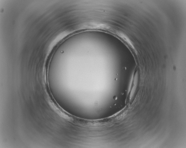 X0000062141080200512091209