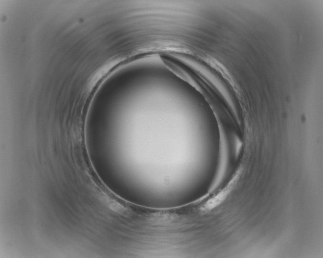 X0000062141081200512091209