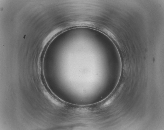 X0000062141082200512091209