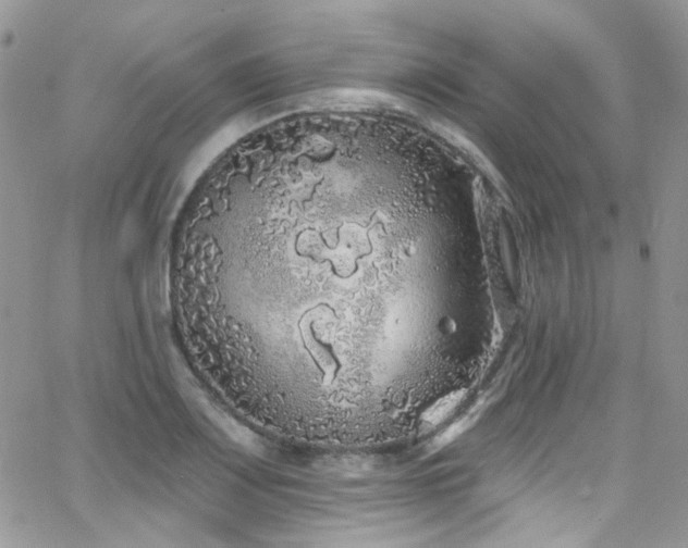 X0000062141083200512091209