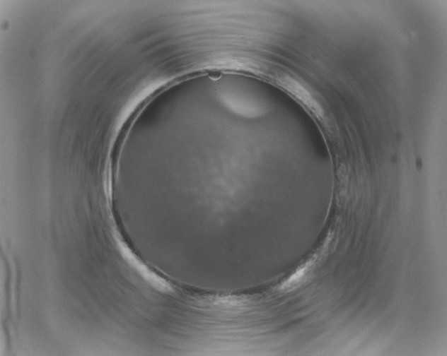 X0000062141084200512091209