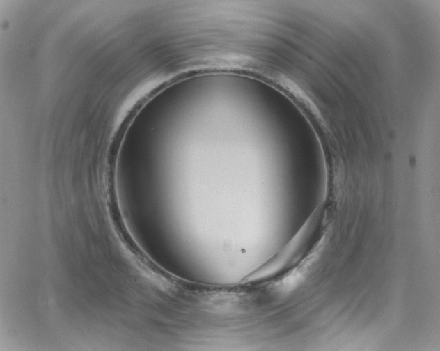 X0000062141085200512091209