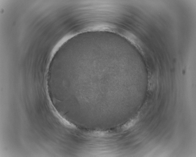 X0000062141086200512091209