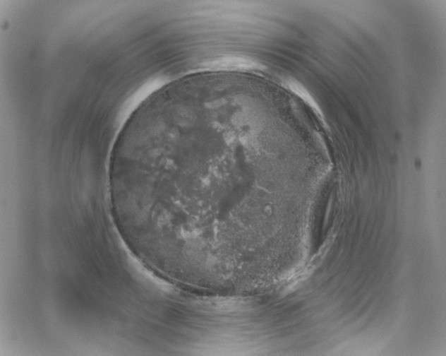 X0000062141087200512091209