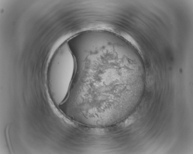 X0000062141088200512091209