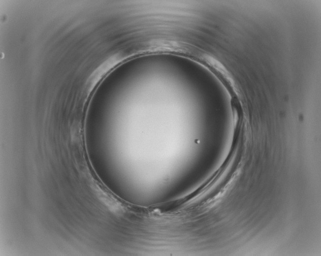 X0000062141089200512091209