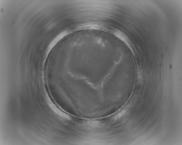 X0000062141090200512091209