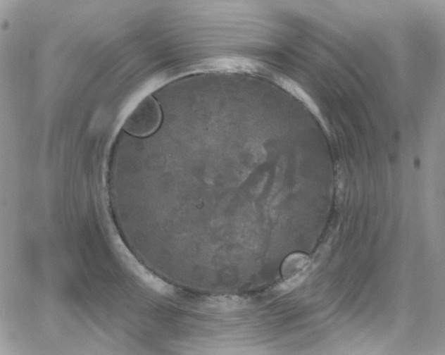 X0000062141091200512091209