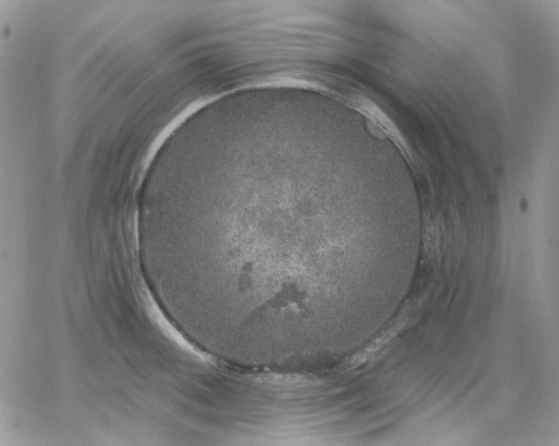 X0000062141092200512091209