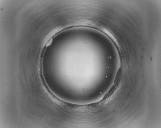 X0000062141093200512091209