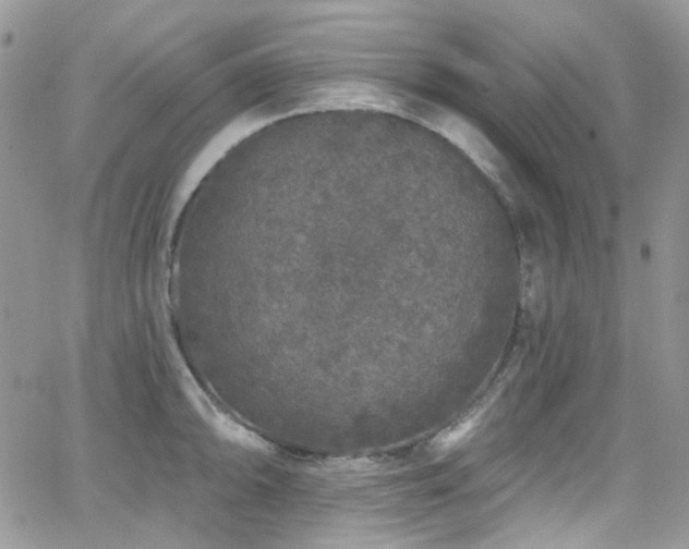 X0000062141094200512091209