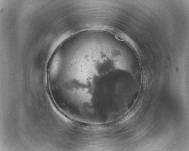 X0000062141095200512091209