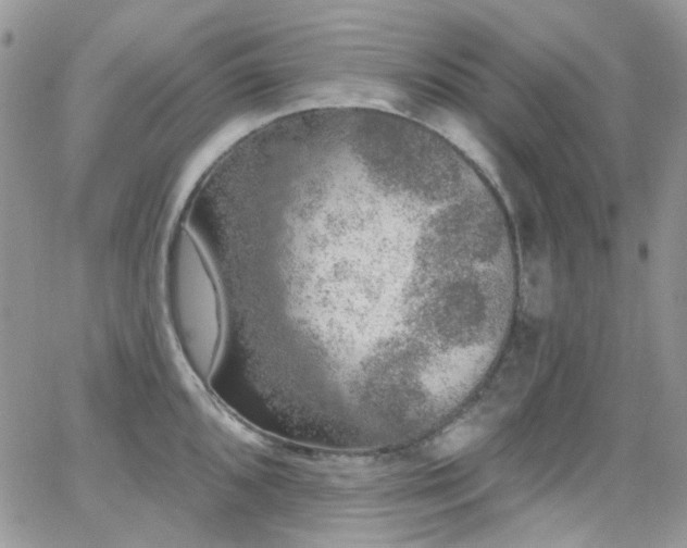 X0000062141096200512091209