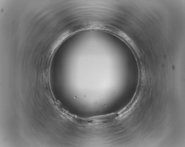 X0000062141097200512091209