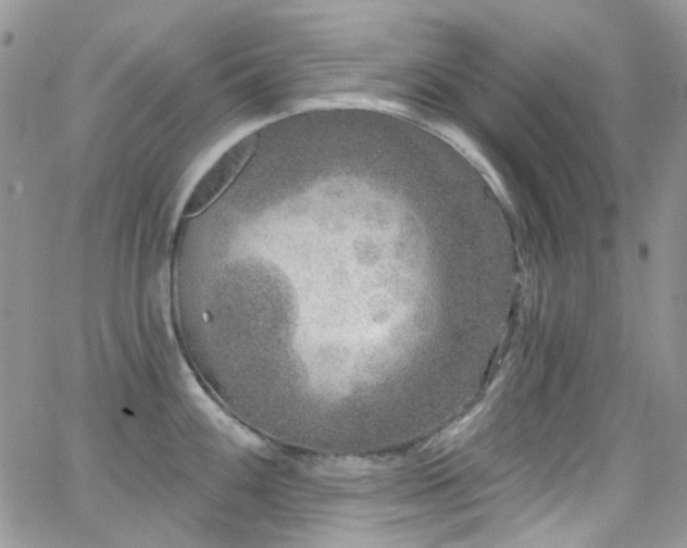 X0000062141100200512091209