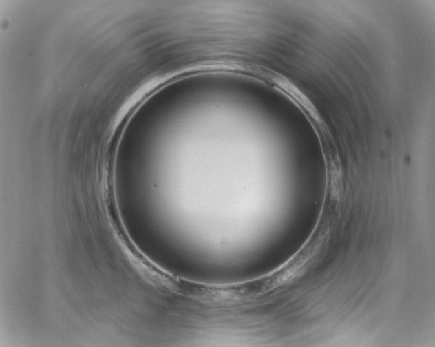 X0000062141101200512091209