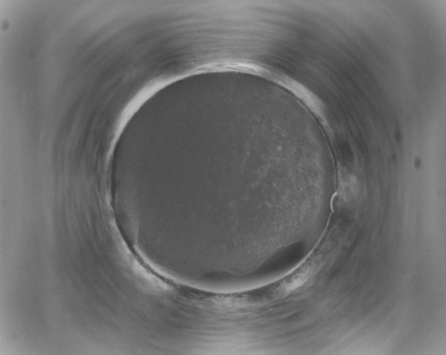 X0000062141102200512091209