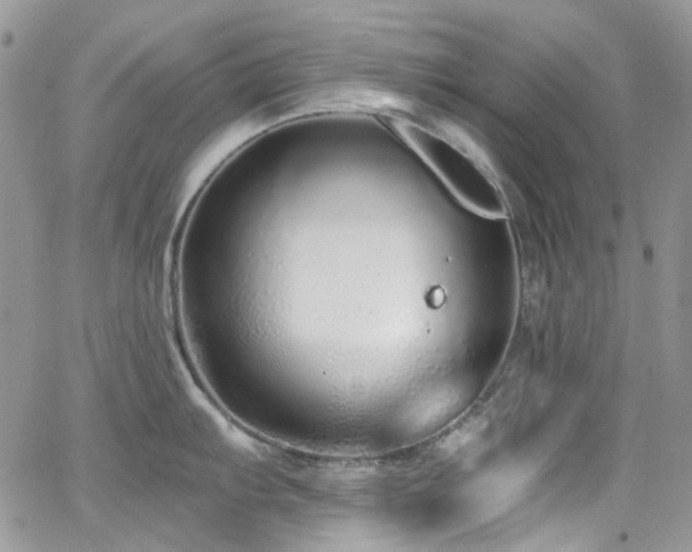 X0000062141103200512091209