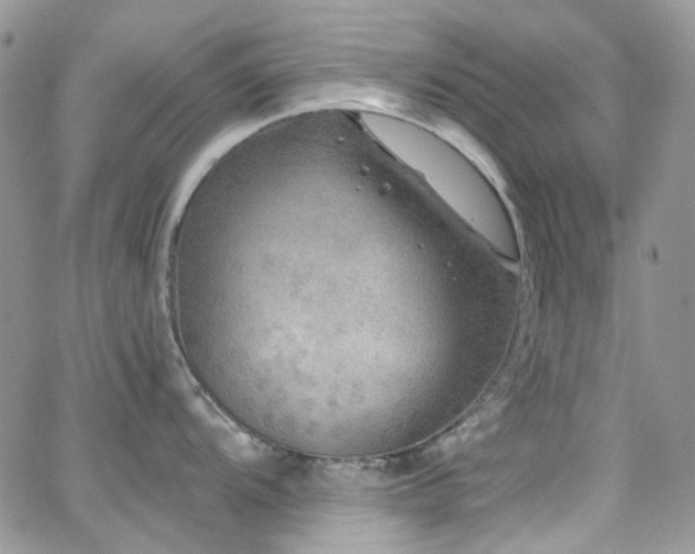 X0000062141104200512091209