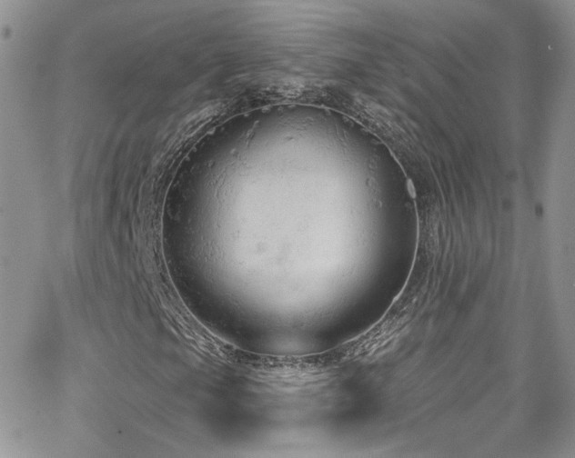 X0000062141105200512091208