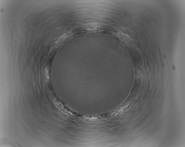 X0000062141106200512091208