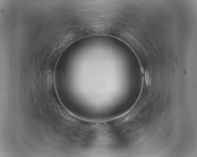 X0000062141107200512091208