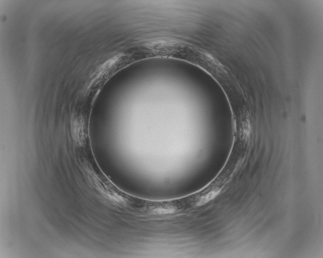 X0000062141108200512091208