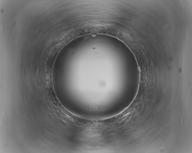 X0000062141109200512091208