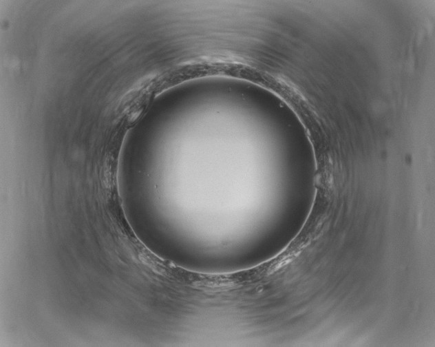 X0000062141110200512091208