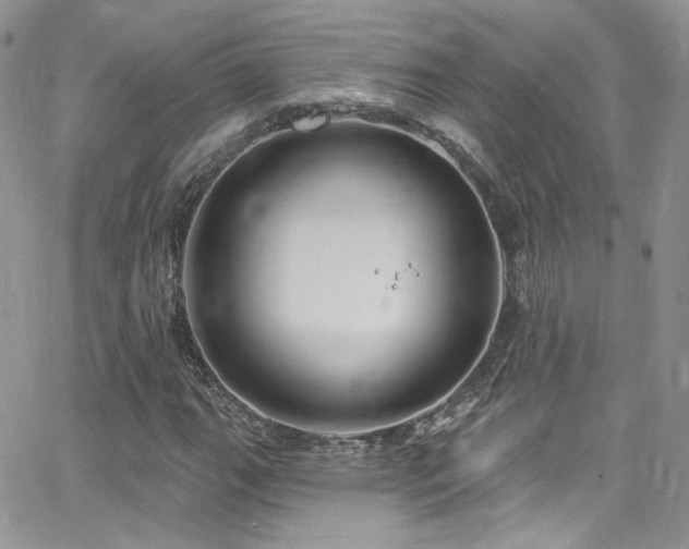 X0000062141111200512091208