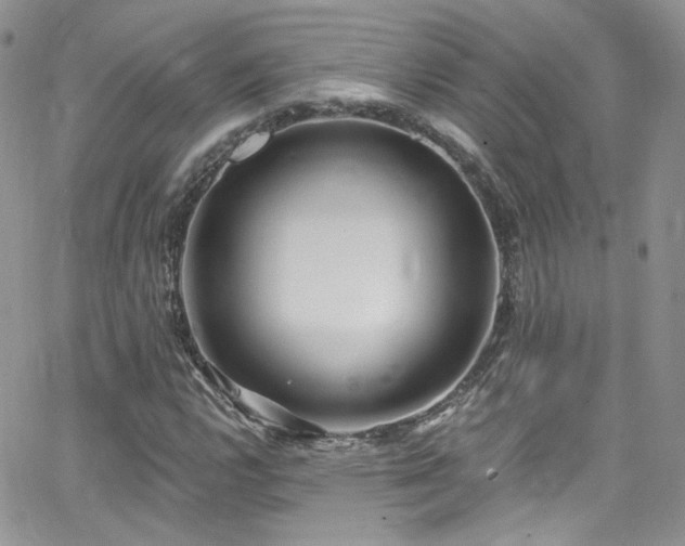 X0000062141112200512091208