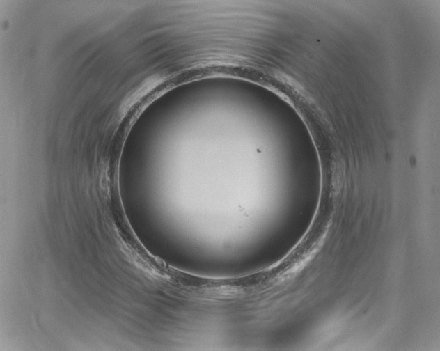 X0000062141113200512091208