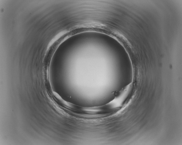 X0000062141114200512091208