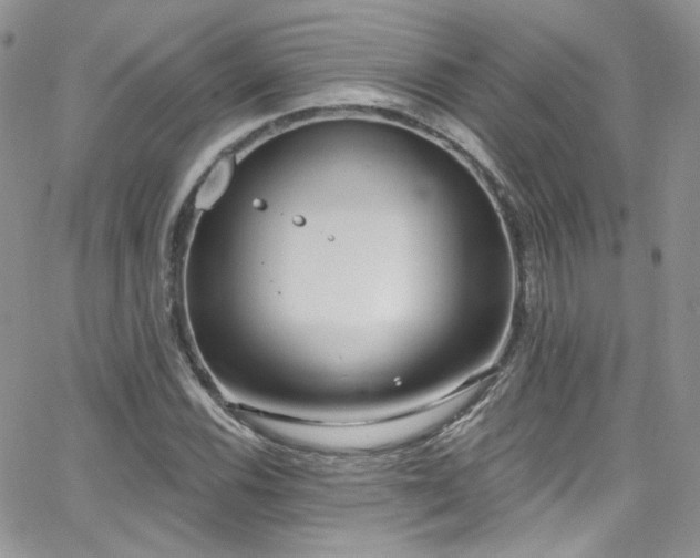 X0000062141116200512091208