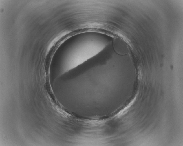 X0000062141117200512091208