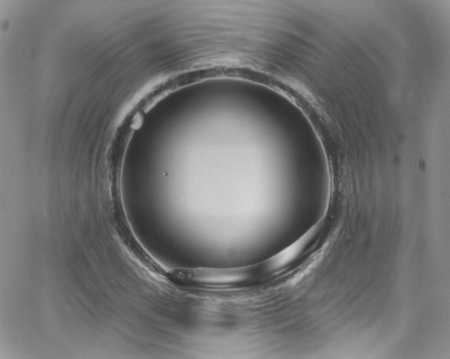 X0000062141118200512091208