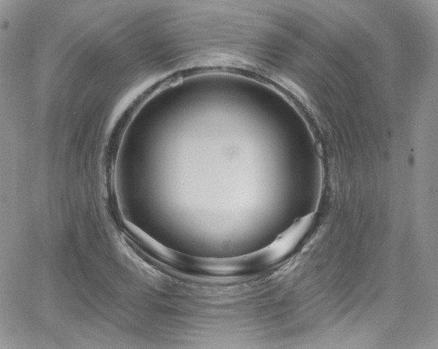 X0000062141120200512091208