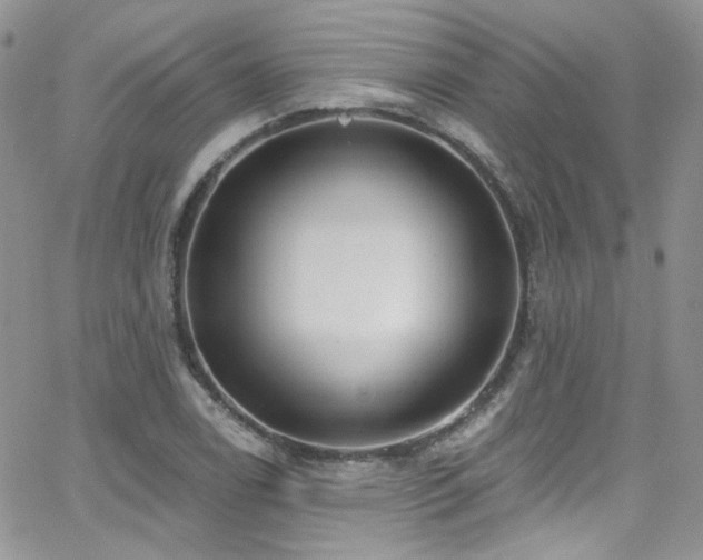 X0000062141122200512091208