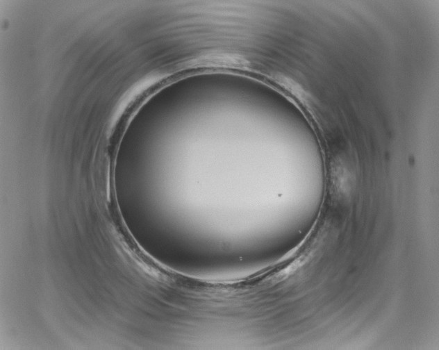 X0000062141123200512091208