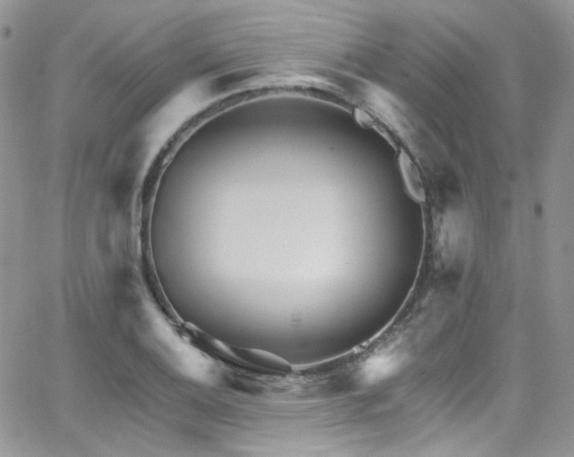 X0000062141124200512091208