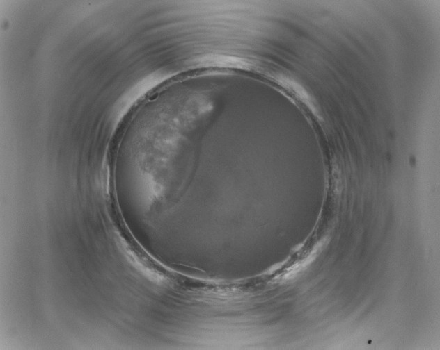 X0000062141125200512091208