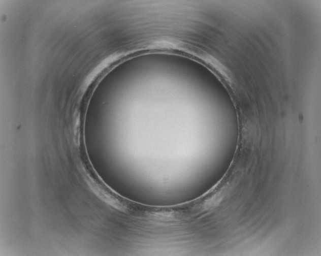 X0000062141126200512091208